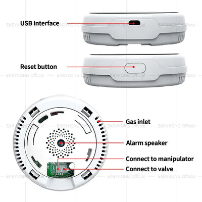 EARYKONG Wifi Natural Gas Sensor Combustible Household Smart LPG Gas Alarm Detector Leakage Sensor Wifi Temperature Detectors